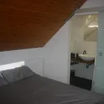 Apartment Savinja River Ljubno