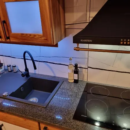 Apartment Savinja River