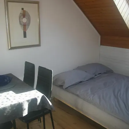 Savinja River Apartment *
