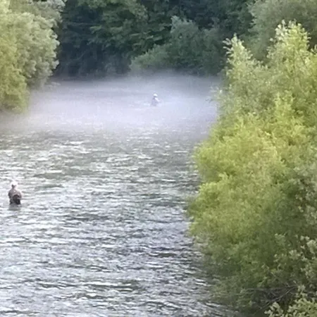 Savinja River * Ljubno