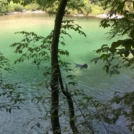 Savinja River *