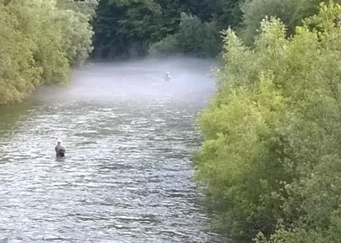 Savinja River * Ljubno